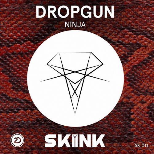 Ninja cover art