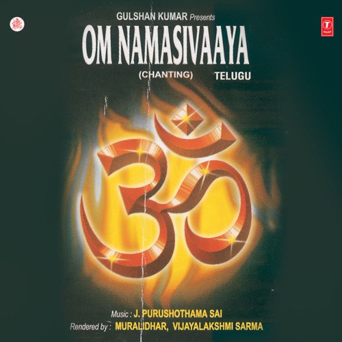 Sivaaya Nama Om
