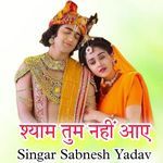 श्याम तुम नहीं आये