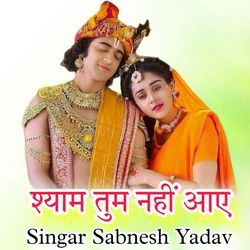 श्याम तुम नहीं आये