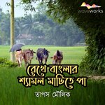 Rekhe Banglar Shyamal Matite Pa