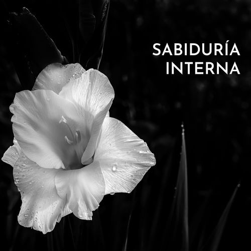 Tranquilidad eterna cover art