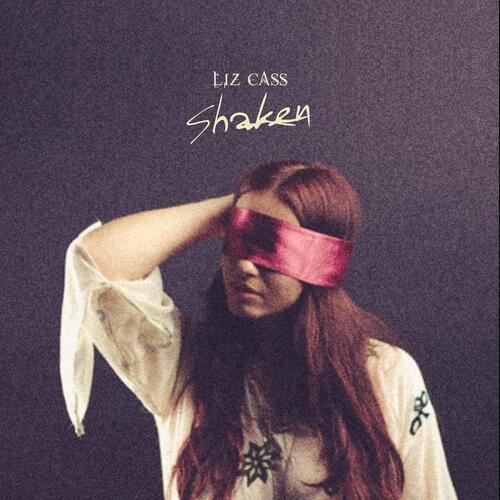 Shaken_poster_image