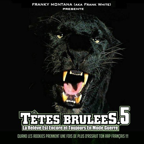 Têtes brûlées, vol. 5 (By Franky Montana)_poster_image