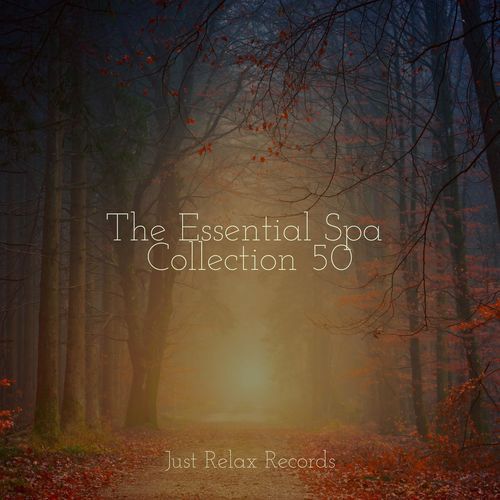 The Essential Spa Collection 50