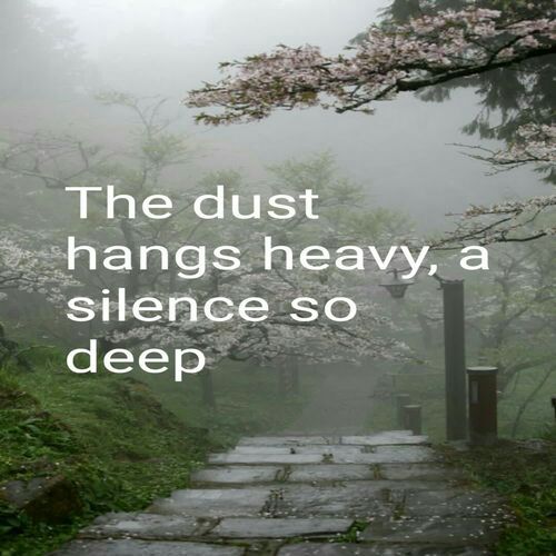 The dust hangs heavy, a silence so deep