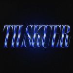 Tilskuer