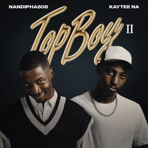 TopBoy II_poster_image