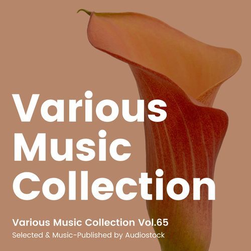 Pop Orchestra cover art