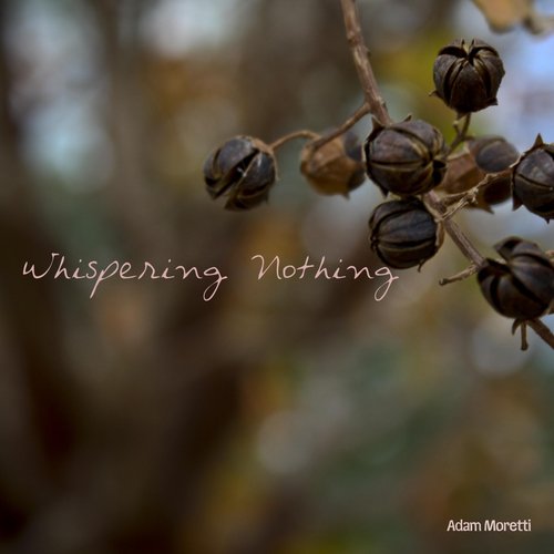 Whispering Nothing