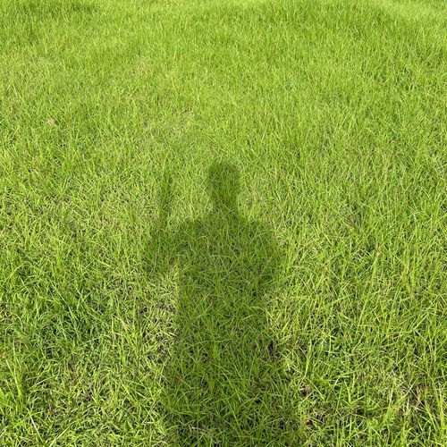 is the grass real cover art