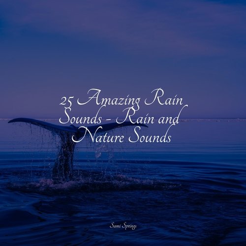 25 Amazing Rain Sounds - Rain and Nature Sounds