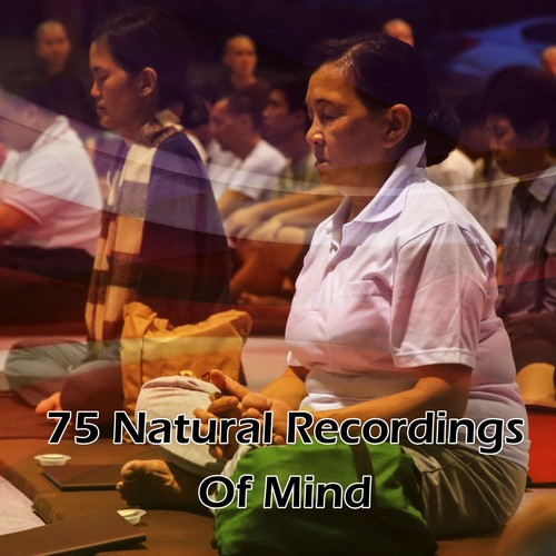 75 Natural Recordings Of Mind_poster_image