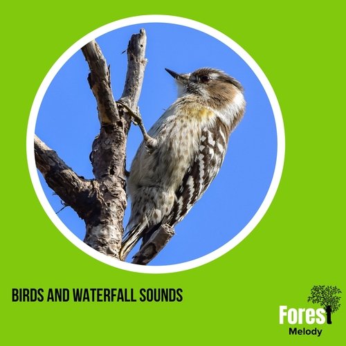 Unhappy Red Eyed Bulbul cover art