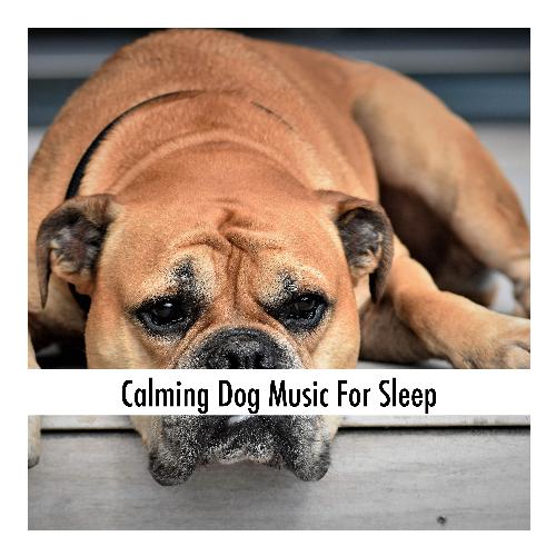 Dog Bedtime cover art