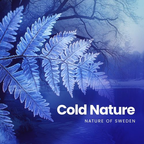 Cold Nature_poster_image