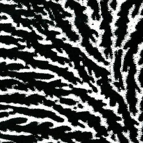 Cover the Windows and the Walls