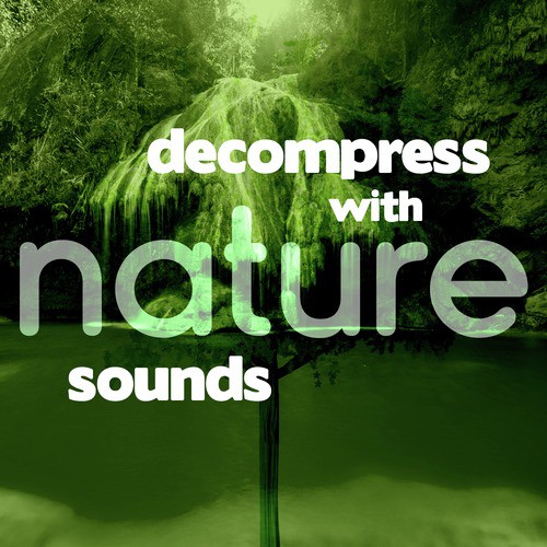 Decompress with Nature Sounds_poster_image