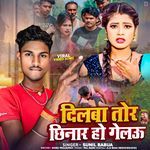 Dilaba Tor Chinar Ho Gelau