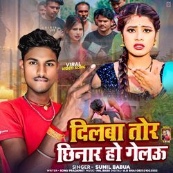 Dilaba Tor Chinar Ho Gelau