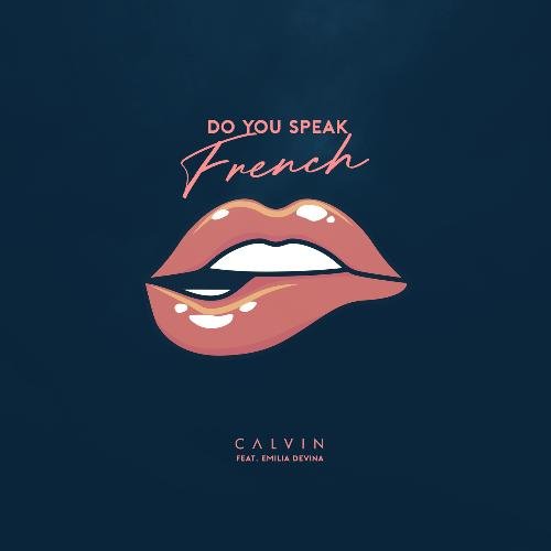 Do You Speak French_poster_image