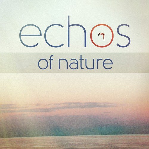 Nature's Sonic Environments