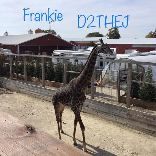 Franky cover art