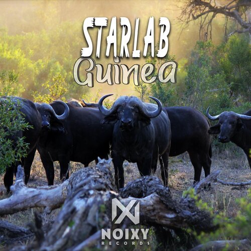 Guinea (Kameen Remix)