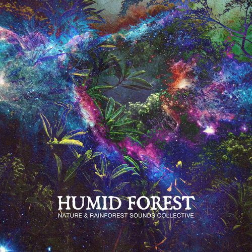 Humid Forest_poster_image