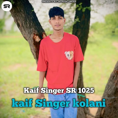 Kaif Singer SR 1025