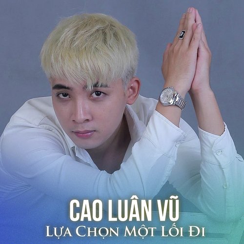 Lựa Chọn Một Lối Đi_poster_image