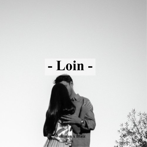 Loin