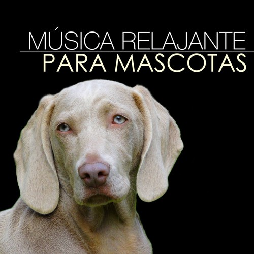 Relajar Gatos cover art