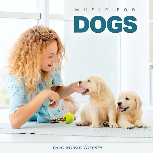 Dog Music Experience