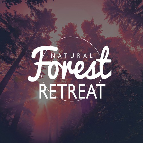 Natural Forest Retreat
