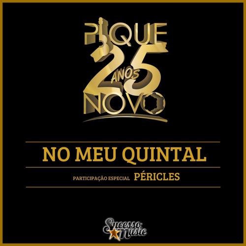 No Meu Quintal (25 Anos)_poster_image