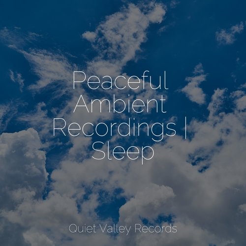 Wellbeing cover art