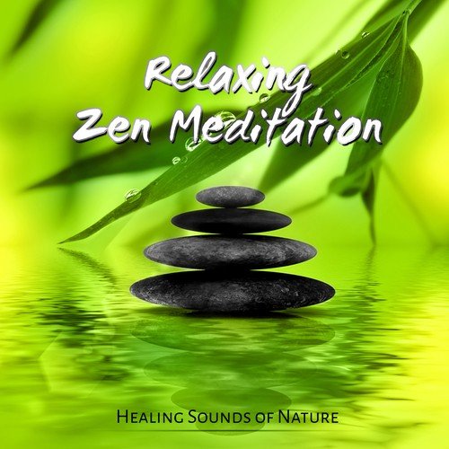 Relaxing Zen Meditation - Positive Music For Mindfulness Meditation  Practices, Namaste Yoga & Healing Sounds Of Nature Songs Download - Free  Online Songs @ JioSaavn