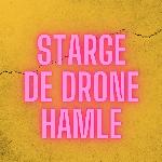 Starge De Drone Hamle