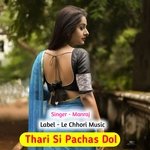 Teri Si Pachas Dol (Original)