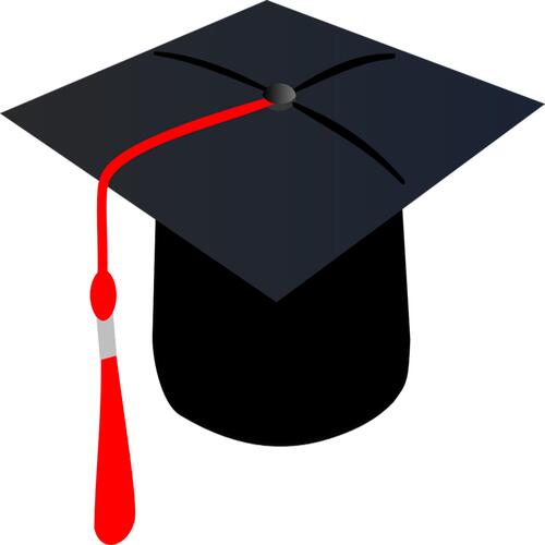 The College DROPOUT