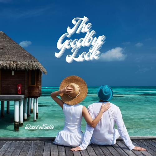 The Goodbye Look cover art