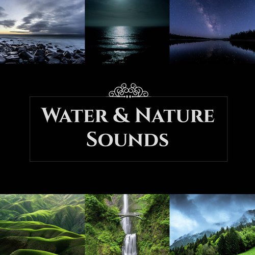 Water & Nature Sounds (Healing Music for Rest, Birds Singing, Peaceful Night, Stress Relief, Relaxation Zone, Stress Management, Sleep Treatment, Spa Music)