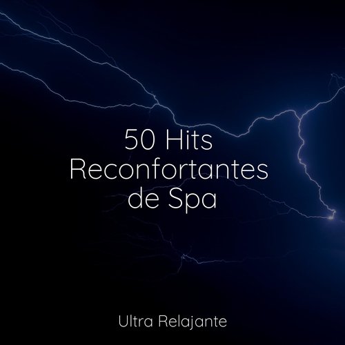 50 Hits Reconfortantes de Spa_poster_image