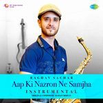 Aap Ki Nazron Ne Samjha - Instrumental artwork