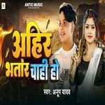 Ahir Bhatar Chahi Ho