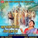 Ange Makho Makhohe Ei Na Brajer Dhula