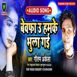 Bewafa Oo Hamke Bhula Gai