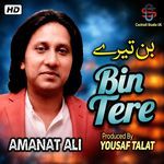 Bin Tere