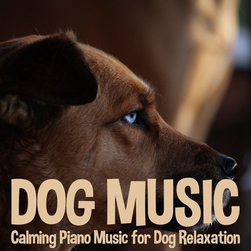 Dog Music: Calming Piano Music for Dog Relaxation